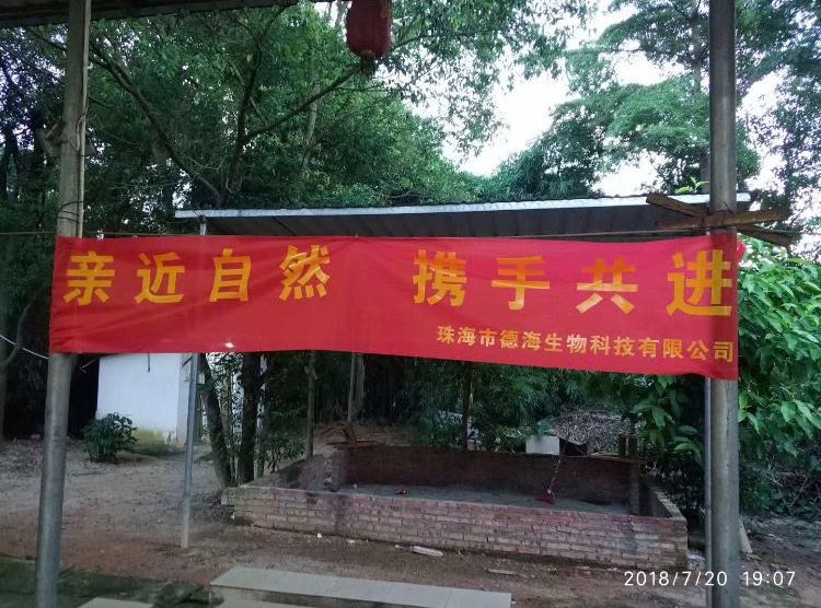 烧烤活动